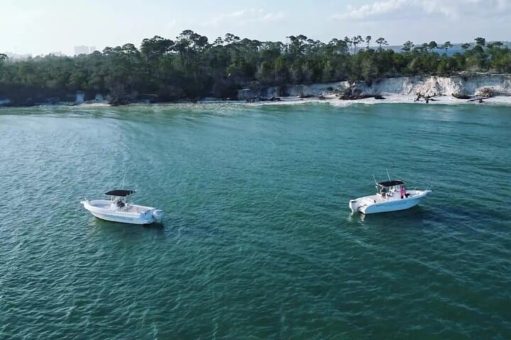 Panama City Beach Dolphin Swim and Shell Island Snorkel Tour photo 4
