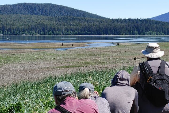 Bear Viewing at Pack Creek: Admiralty Island Brown Bear Tours from Juneau photo 6
