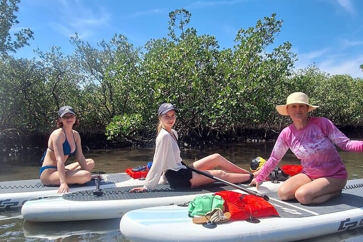 Paddle Mangrove Tunnels in New Smyrna Beach: Guided Kayak & SUP Eco Tour photo 3