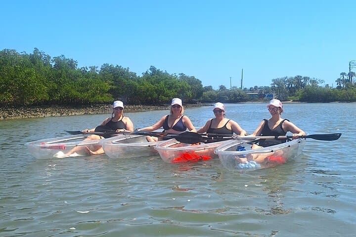 Paddle Mangrove Tunnels in New Smyrna Beach: Guided Kayak & SUP Eco Tour photo 6