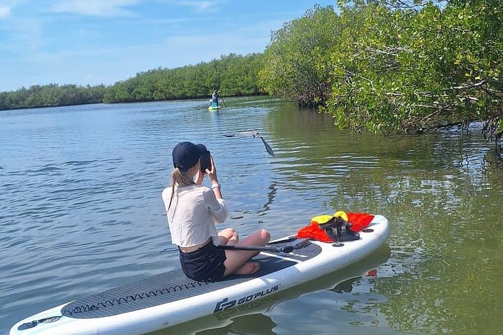 Paddle Mangrove Tunnels in New Smyrna Beach: Guided Kayak & SUP Eco Tour photo 4