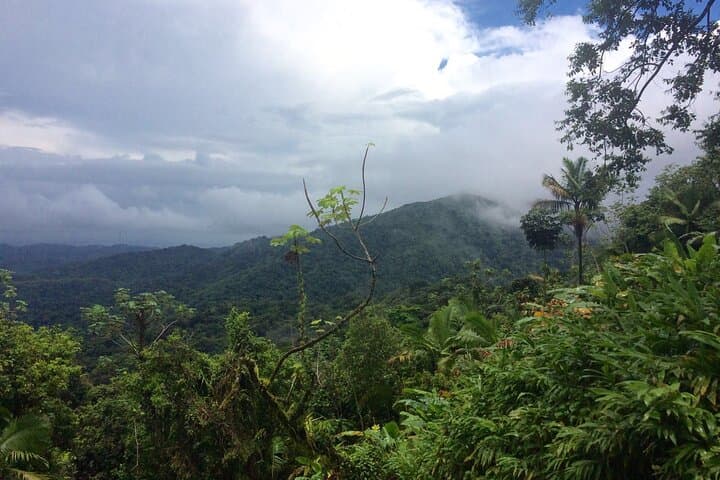Private El Yunque Rainforest Waterfall Tour — Swim & Guided Hike photo 2