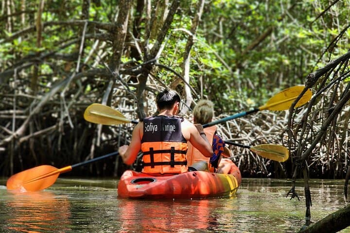 Phuket Jungle-to-Sea Kayaking and Ton Sai Waterfall Trek
