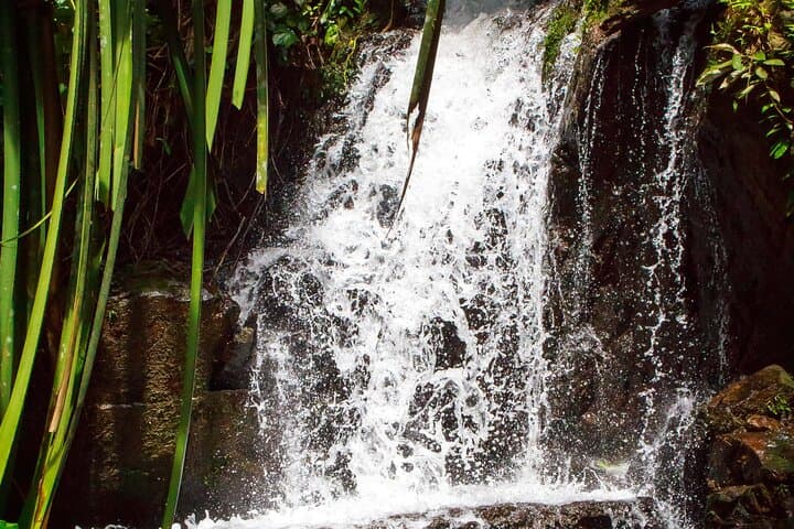 Phuket Jungle-to-Sea Kayaking and Ton Sai Waterfall Trek photo 2