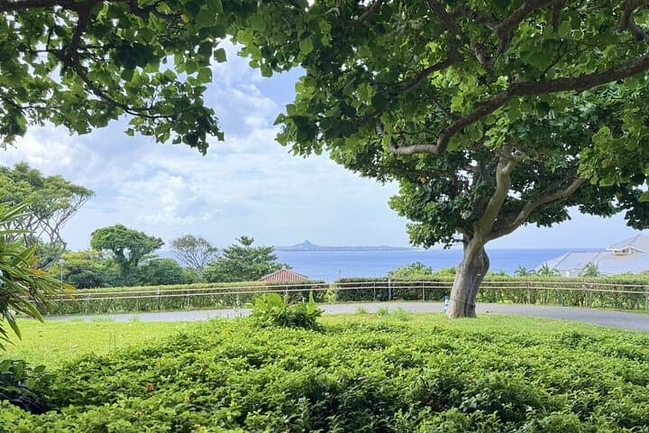 Okinawa Beach and Ryukyu History Trail: Customizable Naha Shore-to-Culture Tour photo 4