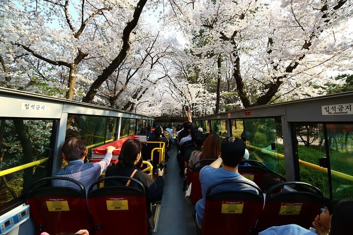 Discover Seoul Pass: Skip Lines and Master Seoul’s Sights with One Card photo 4