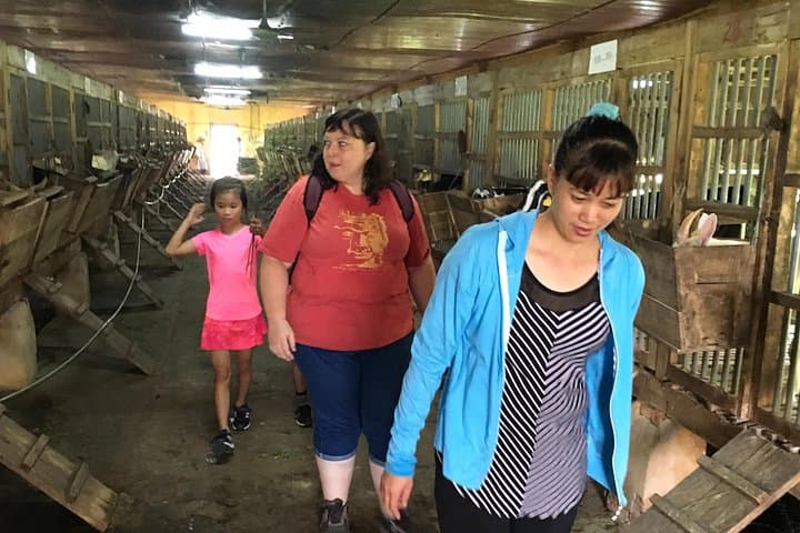 Hands-On Homestead Experience in Ba Vi: Authentic Vietnam Farming Day Tour photo 4