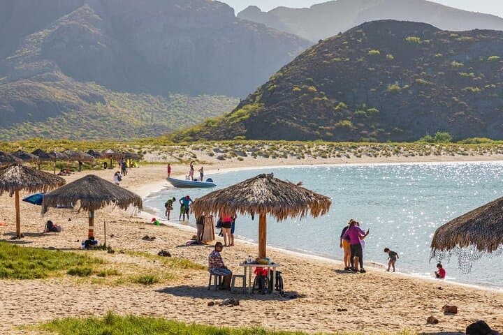 Day Trip from Los Cabos: Balandra Beach, La Paz Malecón and Todos Santos photo 6
