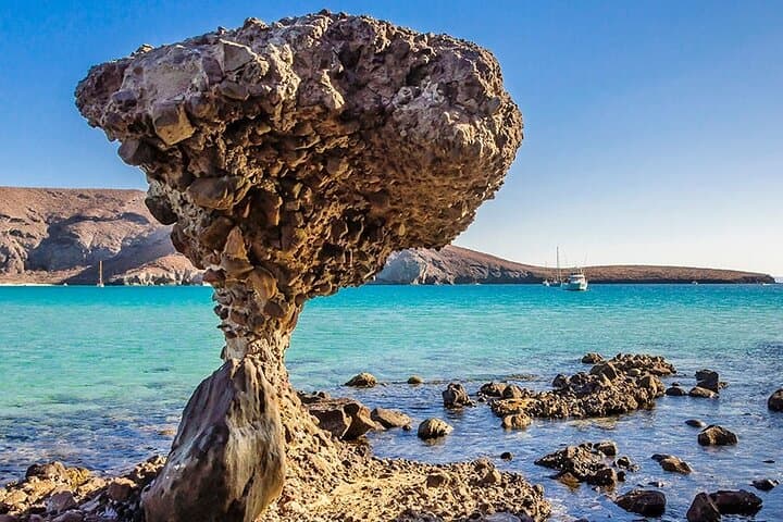 Day Trip from Los Cabos: Balandra Beach, La Paz Malecón and Todos Santos photo 3
