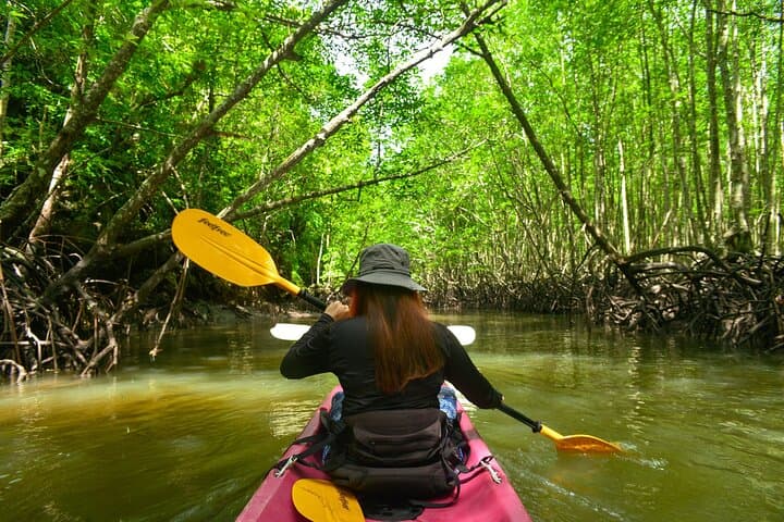 Ao Thalane Kayaking: Mangrove Canals, Caves & Limestone Cliffs in Krabi