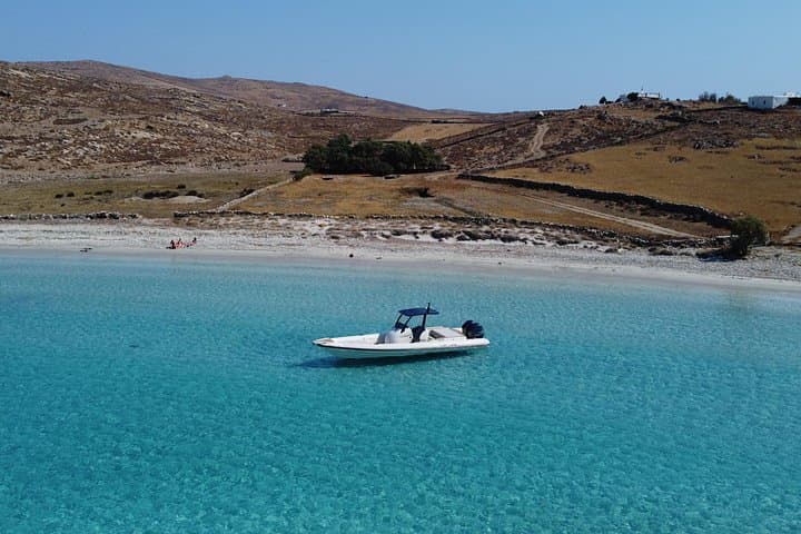 Mykonos Private Speed Boat to Delos and Rhenia — 7-Hour Archaeological & Beach Cruise