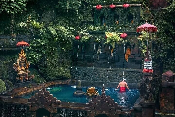Balinese Purification Ritual and Tegalalang Rice Terrace Day Tour