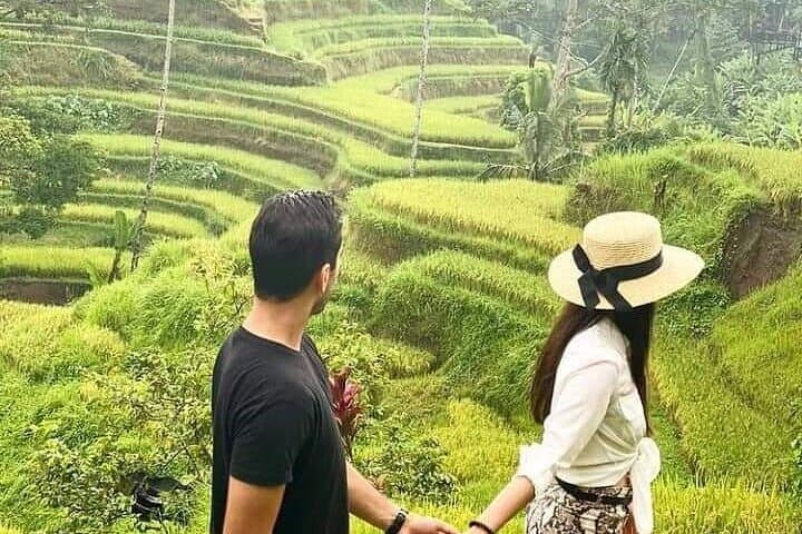 Balinese Purification Ritual and Tegalalang Rice Terrace Day Tour photo 6