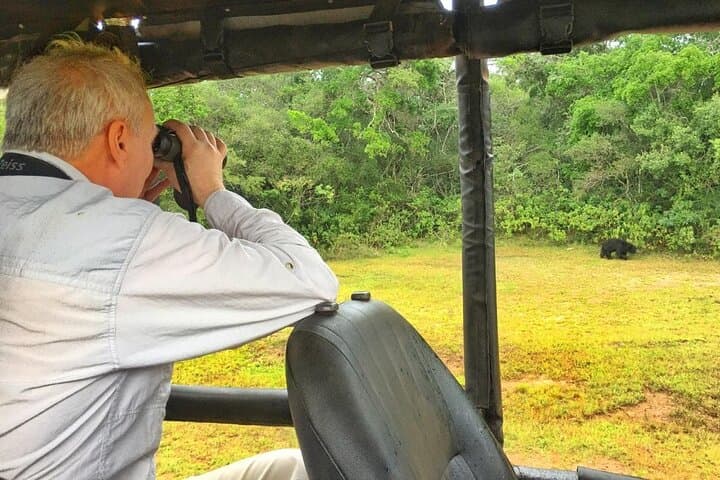 Wilpattu National Park Private Day Safari — Leopard, Elephant & Bird Watching photo 4