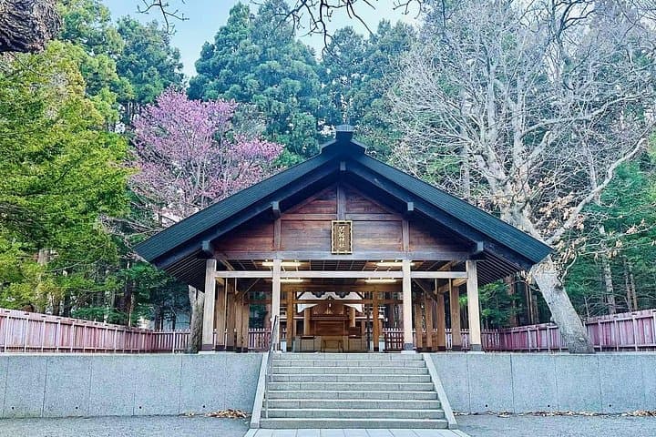 Sapporo Hidden Gems Walking Tour: Hokkaido Shrine, Mt. Moiwa & Local Cafes photo 1
