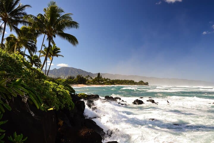 Private 5-Hour Off-Road Wildlife Tour to Oahu's North Shore photo 1