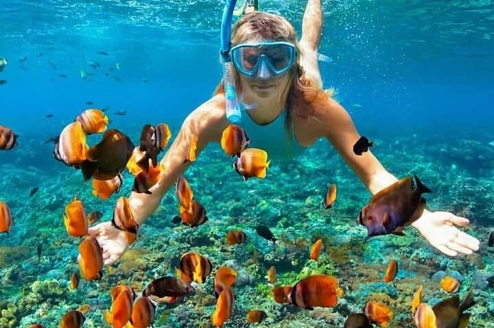 Nusa Penida Day Trip: Snorkel with Mantas, Crystal Bay & Kelingking Views photo 3
