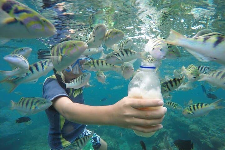 Nusa Penida Day Trip: Snorkel with Mantas, Crystal Bay & Kelingking Views photo 2