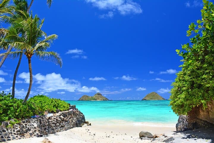 Exploring Oahu’s South Shore: A Private Driving Tour from Waikiki