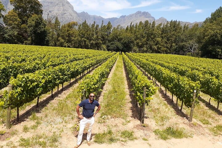 Private Cape Town Wine Tour: Franschhoek & Stellenbosch Tastings with Lunch
