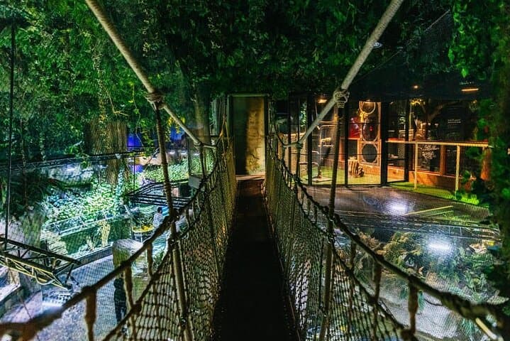 Burj Khalifa & Dubai Aquarium Combo Ticket — At The Top Observation Deck + Underwater Zoo photo 5