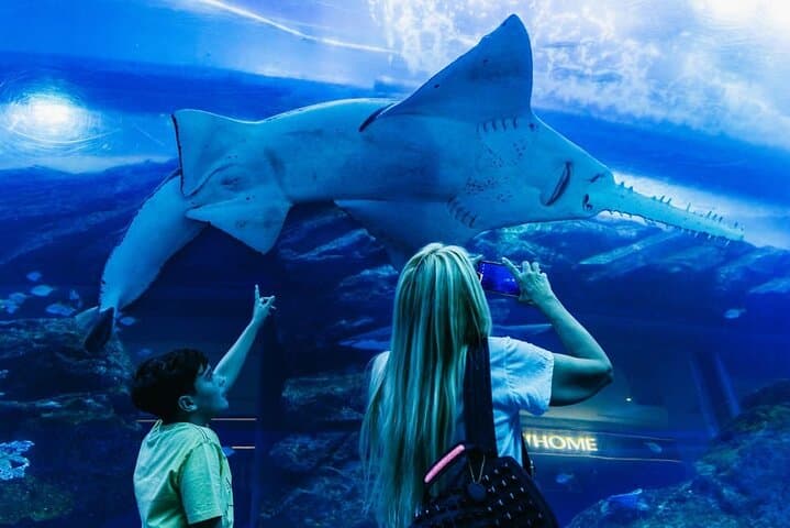 Burj Khalifa & Dubai Aquarium Combo Ticket — At The Top Observation Deck + Underwater Zoo