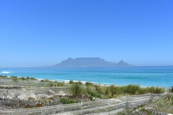 Private Luxury Guided Day Tour from Cape Town to Cape Point — Boulders Beach, Chapman's Peak & Penguin Colony photo 4