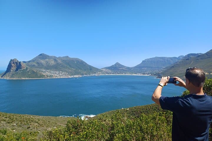 Private Luxury Guided Day Tour from Cape Town to Cape Point — Boulders Beach, Chapman's Peak & Penguin Colony