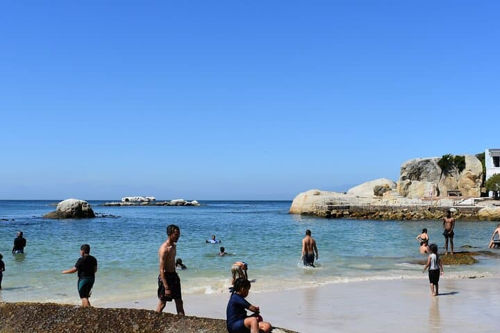 Private Luxury Guided Day Tour from Cape Town to Cape Point — Boulders Beach, Chapman's Peak & Penguin Colony photo 3