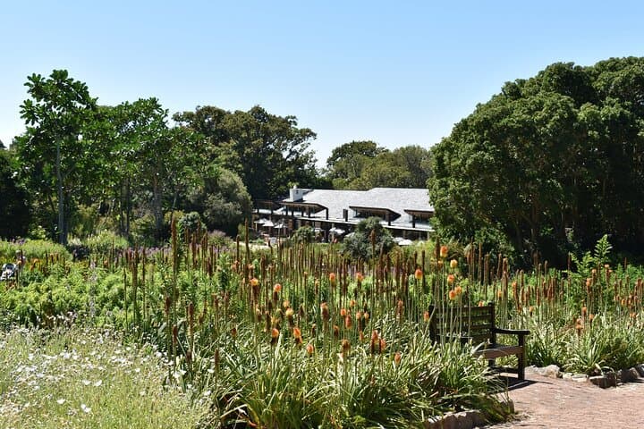 Private Luxury Guided Day Tour from Cape Town to Cape Point — Boulders Beach, Chapman's Peak & Penguin Colony photo 5