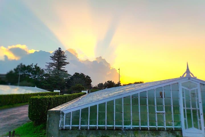 2-Day São Miguel Island Tour — Sete Cidades & Furnas Caldera Experience photo 2