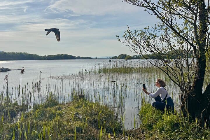 Capture Killarney National Park: Expert Guided 2-Hour Photo Walk in Ireland