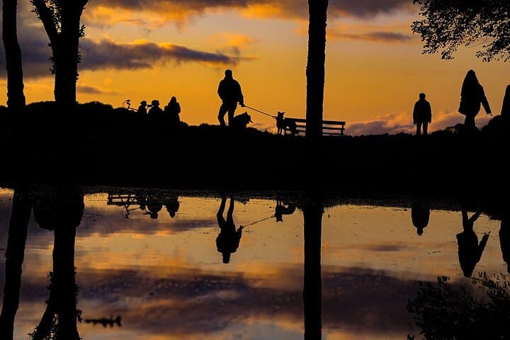 Capture Killarney National Park: Expert Guided 2-Hour Photo Walk in Ireland photo 4