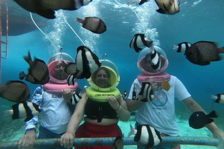 Walk the Seafloor: Private Helmet Diving & Snorkeling in Cebu photo 2