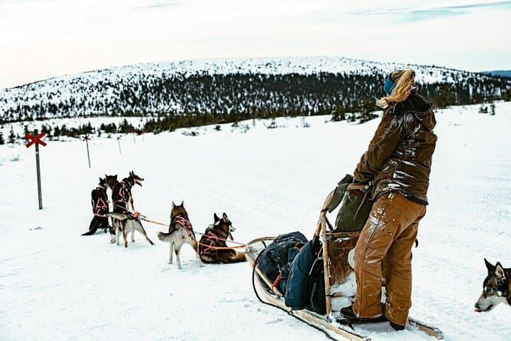 Overnight Dogsledding in Sälen: 48‑Hour Wilderness Cabin & Tent Adventure photo 4