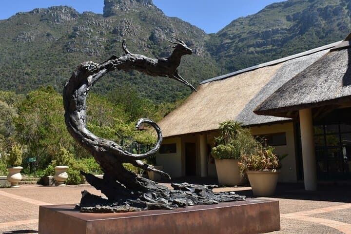 Private Luxury Guided Day Tour from Cape Town to Cape Point — Boulders Beach, Chapman's Peak & Penguin Colony photo 6
