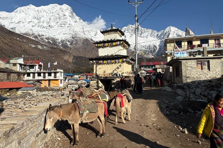 Manaslu Tsum Valley Trek: 21-Day High-Altitude Journey Through Himalayan Culture