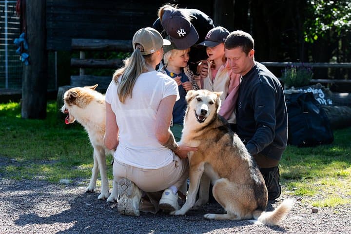 Husky Cuddle Experience at Fjälläventyr Dog Park — Åre Huskies & Kennel Visit