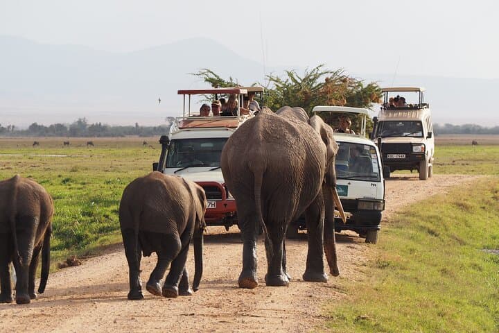Amboseli Full-Day Safari: Big Five & Kilimanjaro Views photo 2