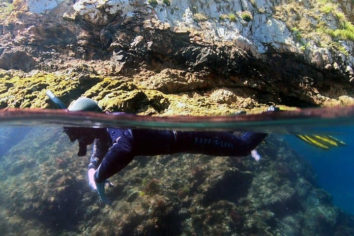 Double Snorkeling Exit on Berlenga Island — Two Shallow Bays of the Berlengas Natural Reserve photo 1