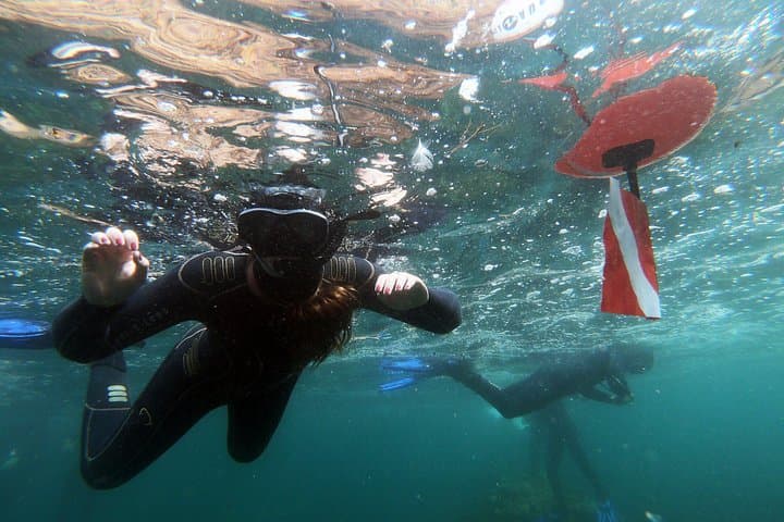 Double Snorkeling Exit on Berlenga Island — Two Shallow Bays of the Berlengas Natural Reserve photo 2
