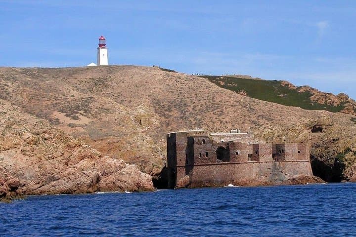 Double Snorkeling Exit on Berlenga Island — Two Shallow Bays of the Berlengas Natural Reserve photo 3