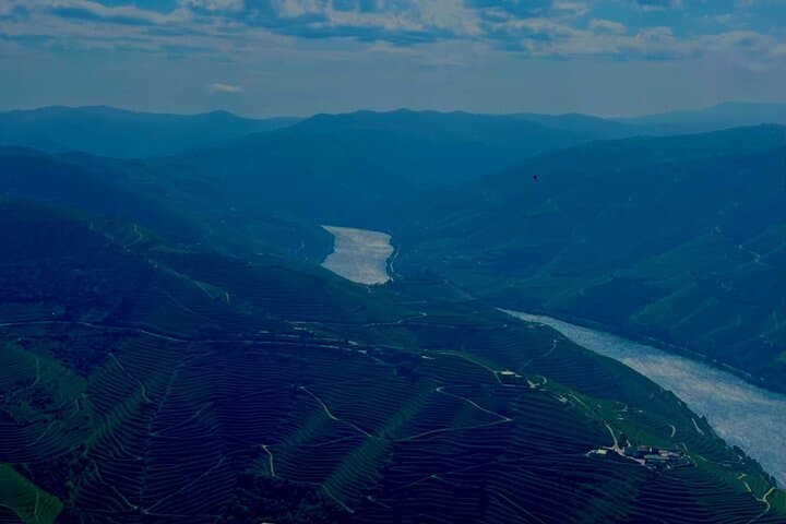 Douro Premium: Douro River Boat Trip, Wine Tasting & Quintinha Lunch photo 2
