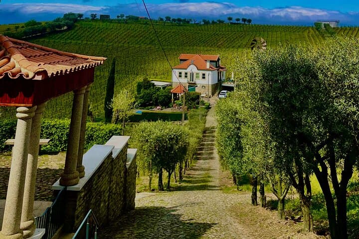 Douro Premium: Douro River Boat Trip, Wine Tasting & Quintinha Lunch photo 5