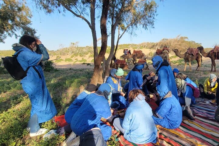 Essaouira Half-Day Dromedary Ride to Cap Sim Dunes with Beach Meal