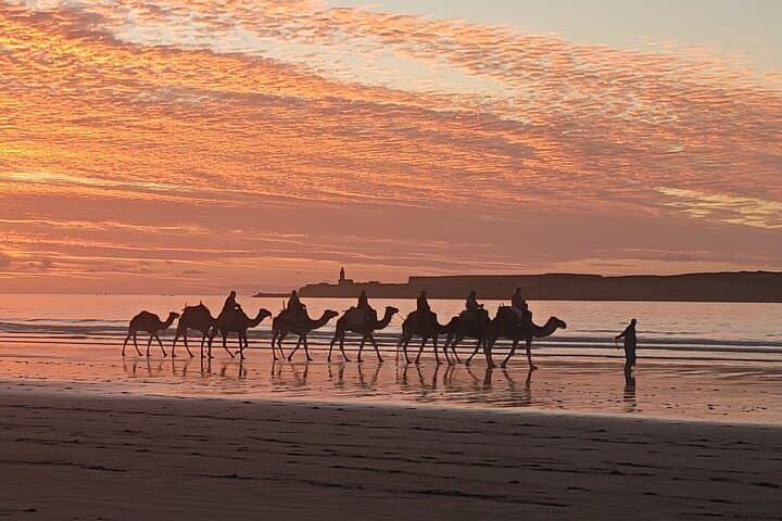 Sunset Camel Ride in Essaouira — 3-Hour Dunes, Beaches & Ruins