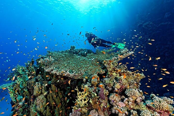 Ras Mohammed & White Island: Full-Day Red Sea Boat Trip from Sharm El Sheikh photo 3