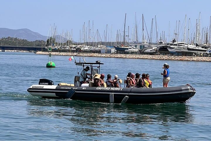Atlantic Dolphin Expedition from Portimão: Shared Speedboat with Biologist Guide photo 2