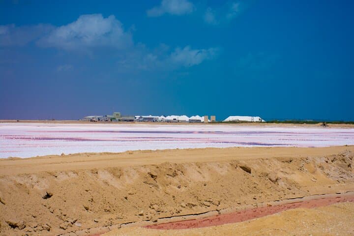Tulum to Las Coloradas & Río Lagartos: Pink Lagoons, Flamingos & Mud Bath Day Trip