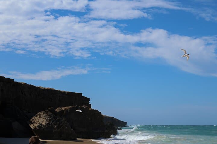 Boa Vista Combi Tour: North-and-South Island Day Trip to Viana Desert & Varandinha photo 3